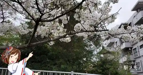 川端水神社の自然