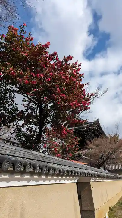 清凉寺(京都府)