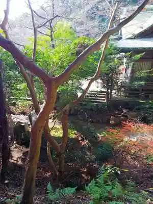 稲荷神社のその他建物