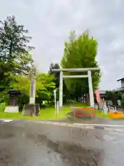 青柳神社の鳥居