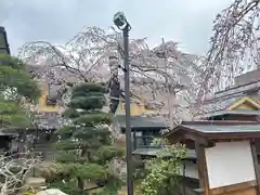 善正寺(宮城県)