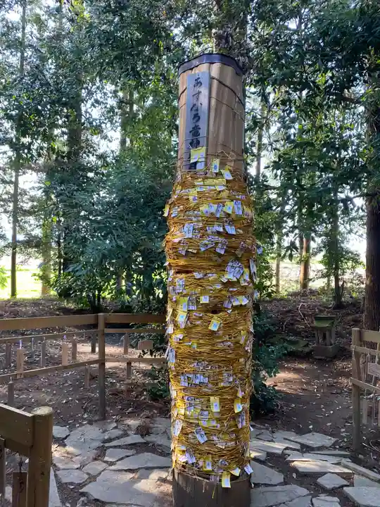 下野 星宮神社(栃木県)
