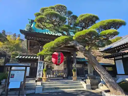 長谷寺の山門・神門