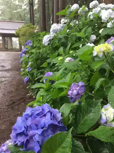 日本寺の庭園