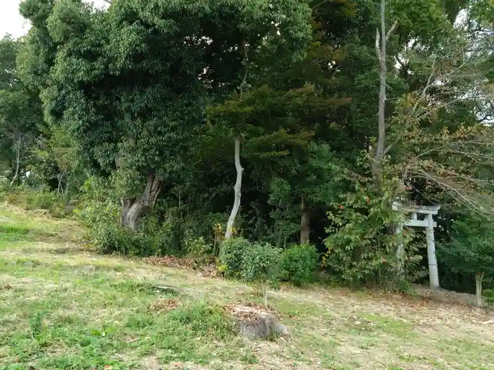 千歳稲荷神社の自然