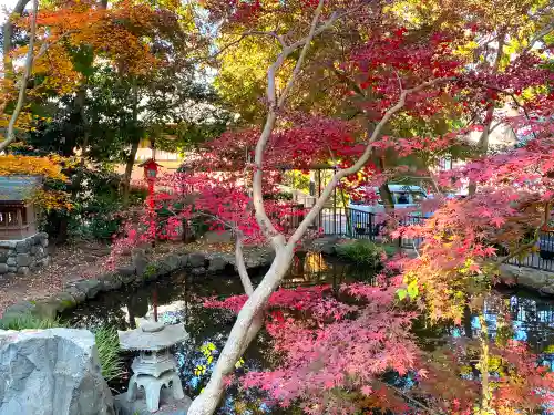 吉田神社の庭園