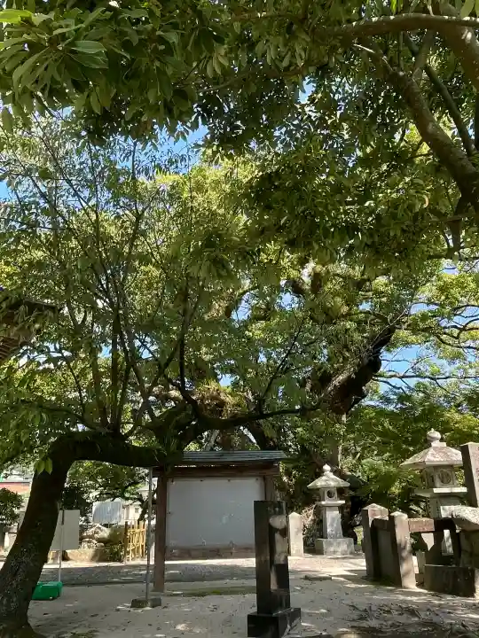 與止日女神社の{uncategorized: "未分類", other: "その他", undefined: "問題あり", building: "その他建物", grave: "お墓", sacred_gate: "鳥居", guardian: "狛犬", statue: "像", buddha: "仏像", history: "歴史", nature: "自然", garden: "庭園", animal: "動物", pagoda: "塔", temizu: "手水舎", mountain_gate: "山門・神門", sanctuary: "本殿・本堂", subordinate: "末社・摂社", art: "芸術", scenery: "景色", jizo: "地蔵", ema: "絵馬", goshuin: "御朱印", omikuji: "おみくじ", items: "授与品その他", amulet: "お守り", goshuincho: "御朱印帳", eats: "食事", festival: "お祭り", votive_dance: "神楽", shichigosan: "七五三参", wedding: "結婚式", experience: "体験その他", initially: "初詣", around: "周辺", anti_infection: "感染症対策"}