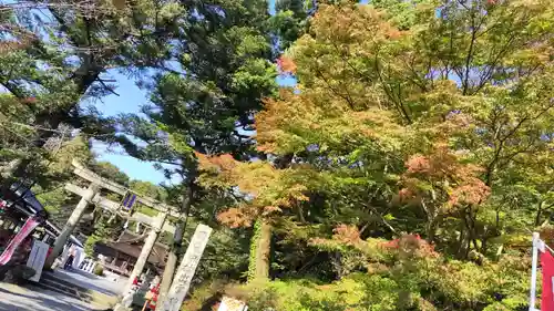 出雲大神宮の景色