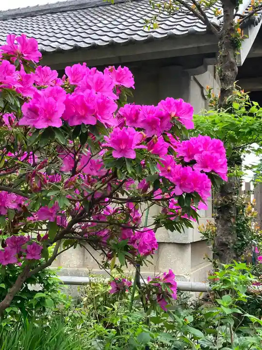 白山神社(東京都)