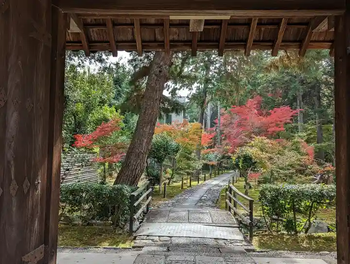 鹿王院(京都府)