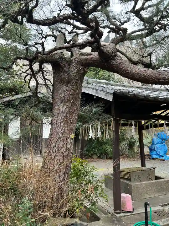 若宮神社(京都府)