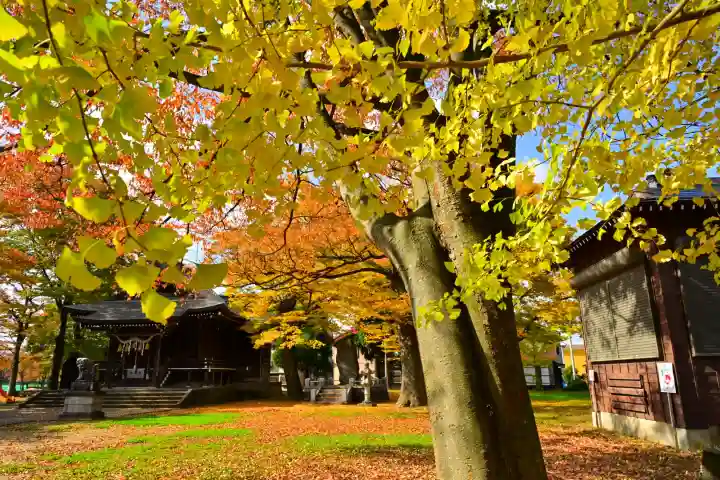 高彦根神社(新潟県)