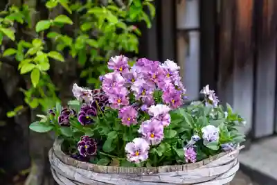 元祇園梛神社・隼神社の自然