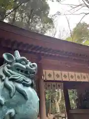 駒木諏訪神社の狛犬