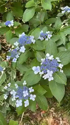東郷神社(東京都)