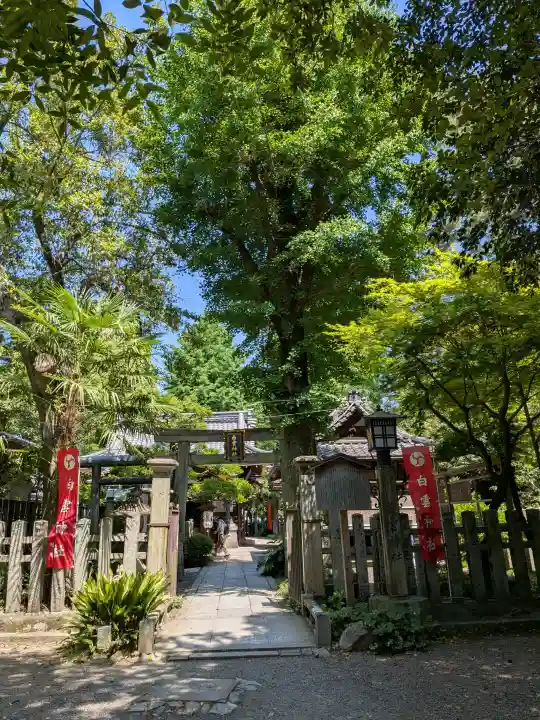 白雲神社の{uncategorized: "未分類", other: "その他", undefined: "問題あり", building: "その他建物", grave: "お墓", sacred_gate: "鳥居", guardian: "狛犬", statue: "像", buddha: "仏像", history: "歴史", nature: "自然", garden: "庭園", animal: "動物", pagoda: "塔", temizu: "手水舎", mountain_gate: "山門・神門", sanctuary: "本殿・本堂", subordinate: "末社・摂社", art: "芸術", scenery: "景色", jizo: "地蔵", ema: "絵馬", goshuin: "御朱印", omikuji: "おみくじ", items: "授与品その他", amulet: "お守り", goshuincho: "御朱印帳", eats: "食事", festival: "お祭り", votive_dance: "神楽", shichigosan: "七五三参", wedding: "結婚式", experience: "体験その他", initially: "初詣", around: "周辺", anti_infection: "感染症対策"}