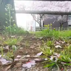 尾張大國霊神社（国府宮）の自然