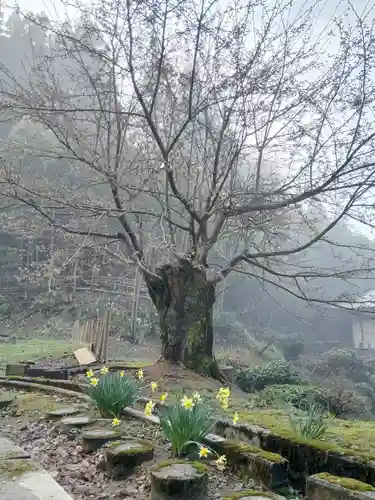 白狐山光星寺(山形県)