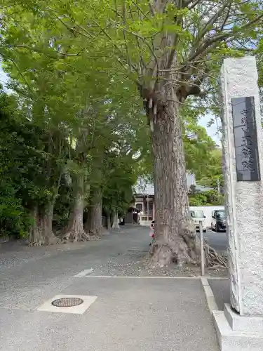 玉蔵院(神奈川県)