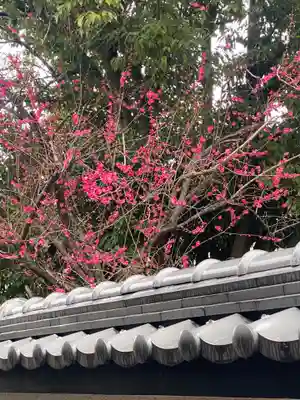 郷荘神社(大阪府)