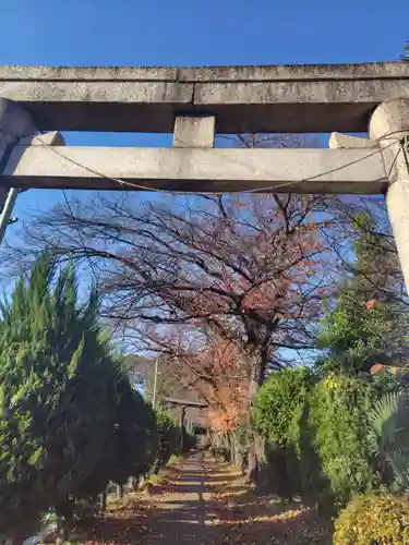 鶴ヶ丸八幡神社(埼玉県)