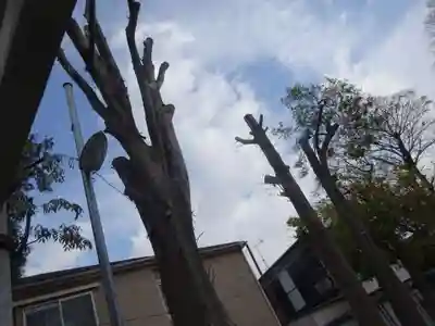 三島神社の自然