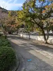 摩尼院(大阪府)