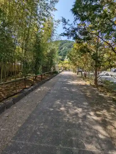 圓通寺(京都府)