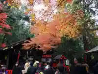 野宮神社の自然