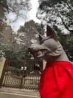 手力雄神社(岐阜県)