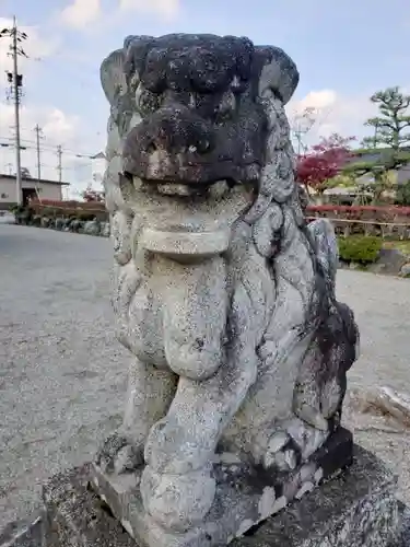 八幡宮の狛犬