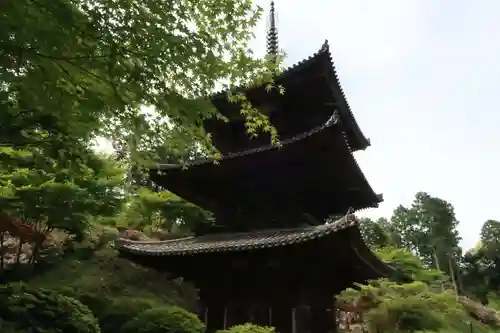 常樂寺の建物その他