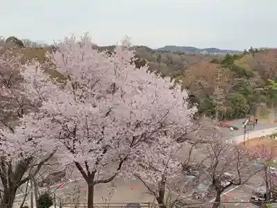 長谷寺(神奈川県)