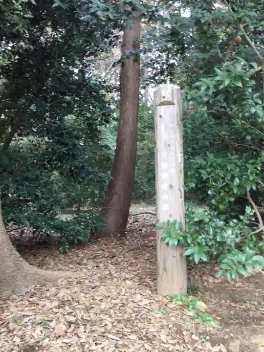 寒川神社の自然