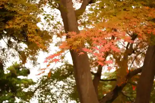 天津神社(新潟県)