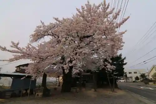 中野稲荷神社の庭園