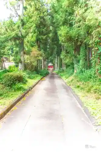 新田八幡神社の建物その他