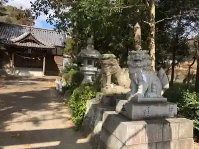 天都賀佐比古神社の狛犬
