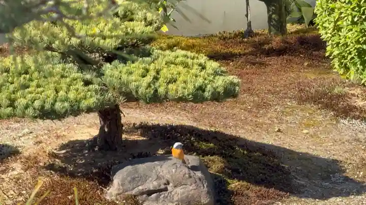 西方山極楽寺(岐阜県)