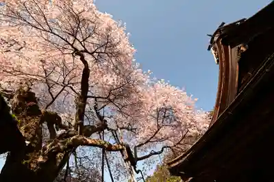 清浄心院(和歌山県)