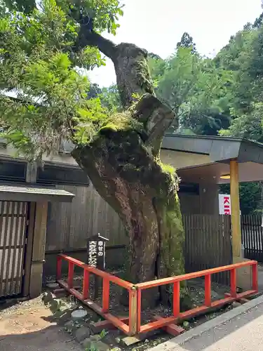 箱根神社(神奈川県)