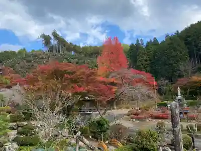 高蔵寺(兵庫県)