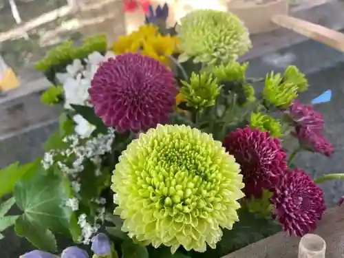 彌彦神社　(伊夜日子神社)の手水舎