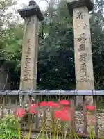 般若寺 ❁コスモス寺❁(奈良県)