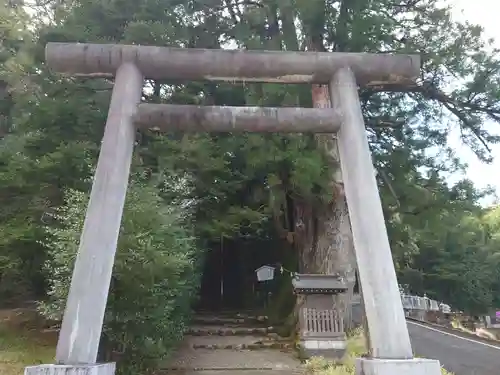 萩日吉神社の鳥居