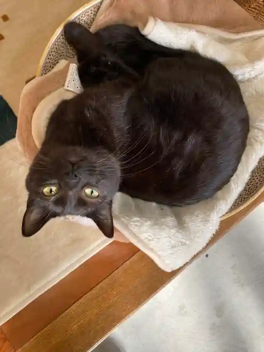 長楽寺(栃木県)