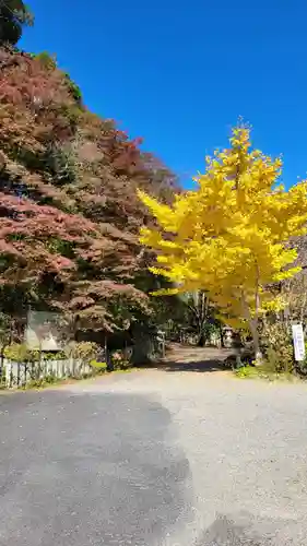 新大佛寺(三重県)
