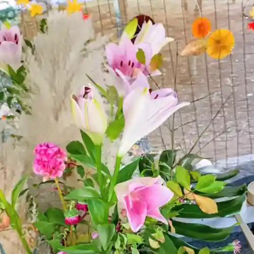 彌彦神社　(伊夜日子神社)(北海道)