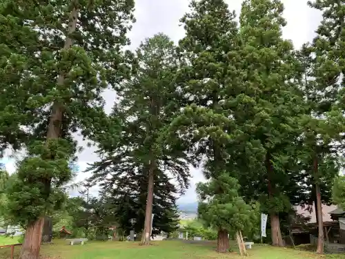 日本芸能神社の{uncategorized: "未分類", other: "その他", undefined: "問題あり", building: "その他建物", grave: "お墓", sacred_gate: "鳥居", guardian: "狛犬", statue: "像", buddha: "仏像", history: "歴史", nature: "自然", garden: "庭園", animal: "動物", pagoda: "塔", temizu: "手水舎", mountain_gate: "山門・神門", sanctuary: "本殿・本堂", subordinate: "末社・摂社", art: "芸術", scenery: "景色", jizo: "地蔵", ema: "絵馬", goshuin: "御朱印", omikuji: "おみくじ", items: "授与品その他", amulet: "お守り", goshuincho: "御朱印帳", eats: "食事", festival: "お祭り", votive_dance: "神楽", shichigosan: "七五三参", wedding: "結婚式", experience: "体験その他", initially: "初詣", around: "周辺", anti_infection: "感染症対策"}