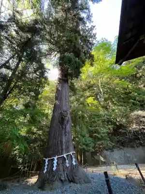 鹿嶋神社(福島県)